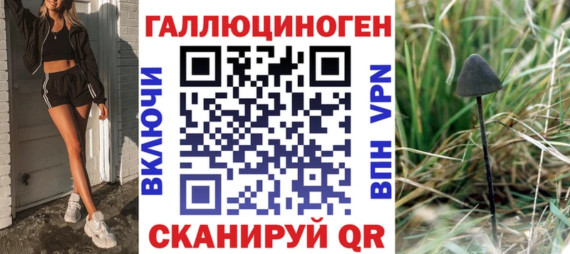 Псилоцибиновые грибы Psilocybine cubensis  Купить закладки  Новая Ляля 